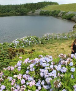 The Azores: Hawaii Vibes, European Soul