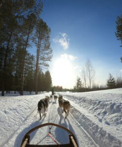 5 Days in Rovaniemi: Northern Lights, Arctic Adventures & Lapland Magic