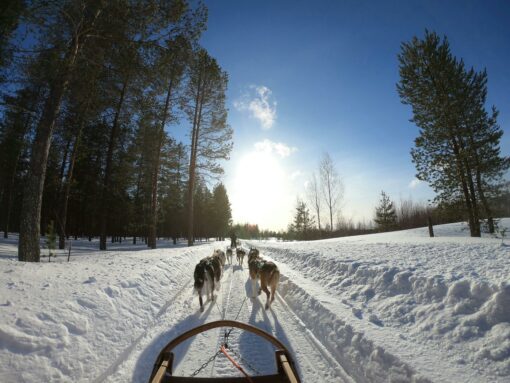 5 Days in Rovaniemi: Northern Lights, Arctic Adventures & Lapland Magic