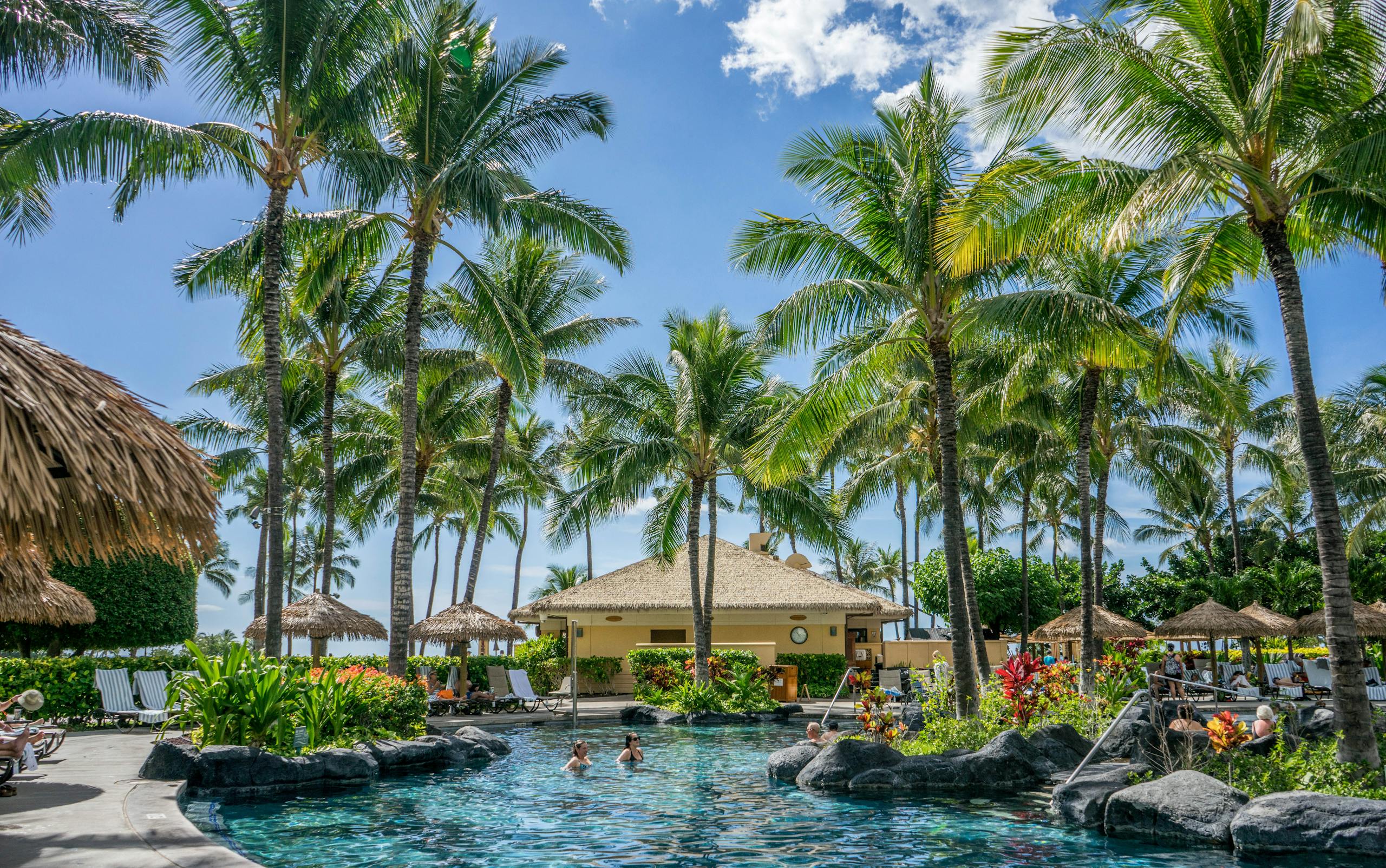Relaxing tropical resort scene with palm trees, swimming pool, and clear blue sky.