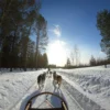 5 Days in Rovaniemi: Northern Lights, Arctic Adventures & Lapland Magic